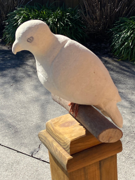 Kererū