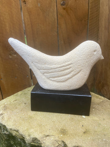 Blackbird (NEW)
